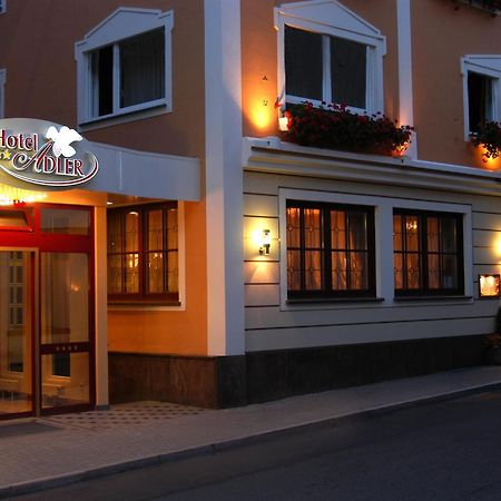 Hotel Adler - Paulas Alb エーインゲン エクステリア 写真